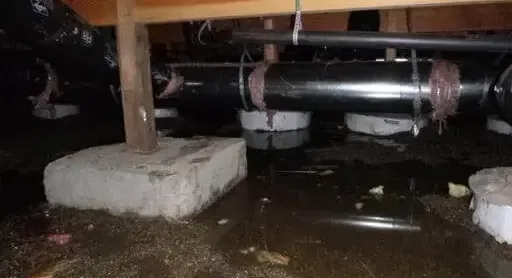 Standing water collected beneath the floor joists of a crawl space