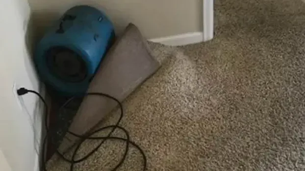 Air mover drying the subfloor beside wet carpet folded back from the wall